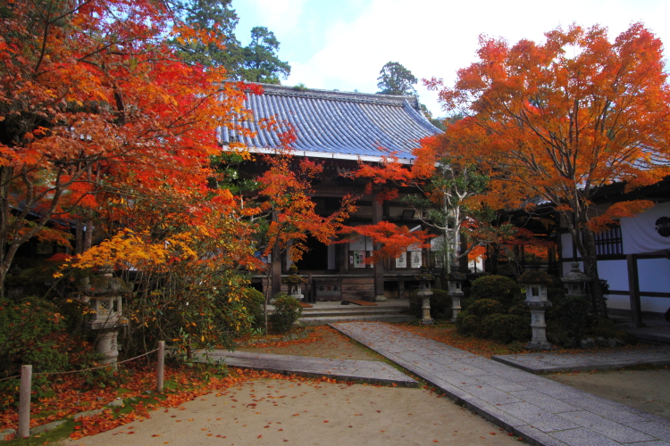 紅葉の三尾_e0051888_22401132.jpg