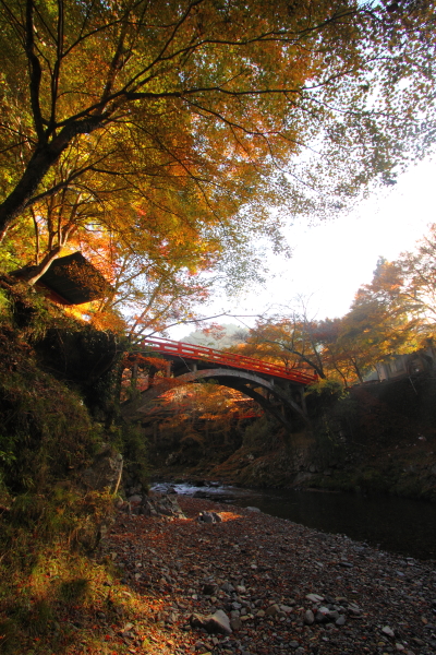 紅葉の三尾_e0051888_22403870.jpg