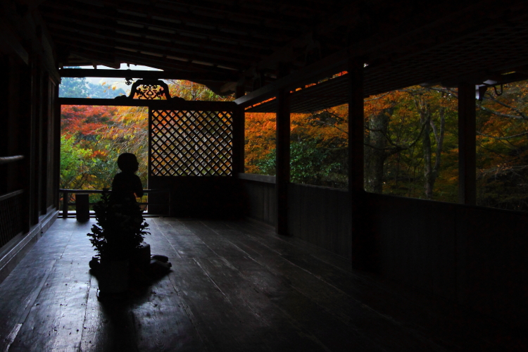 紅葉の三尾_e0051888_22405578.jpg