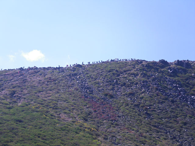e0134989_23422479.jpg