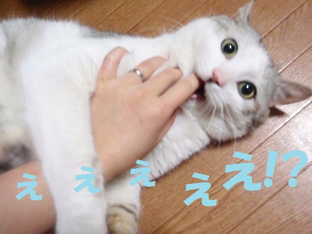 a0159490_1734233.jpg