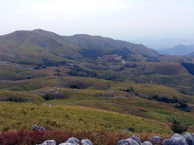 b0035391_23351263.jpg