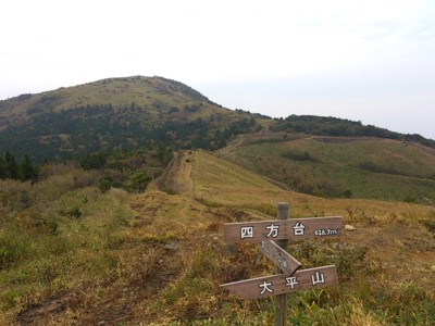 b0035391_23375810.jpg