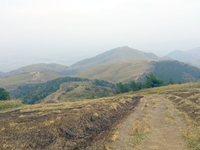 b0035391_23424298.jpg