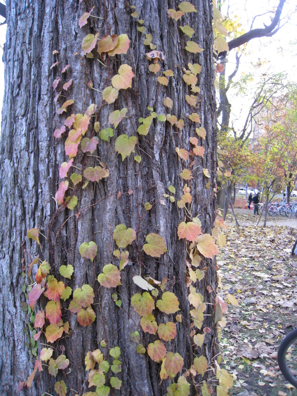 f0236391_2046679.jpg