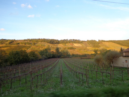 e0056094_3464231.jpg