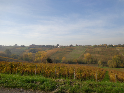 e0056094_3481639.jpg