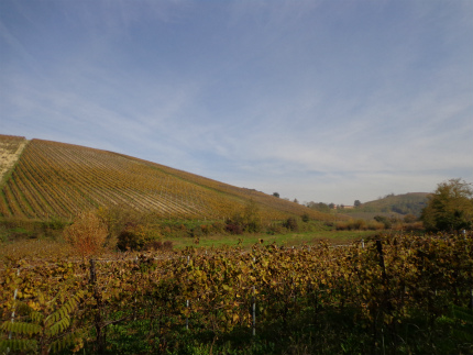 e0056094_3493058.jpg