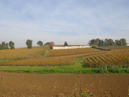 e0056094_34997.jpg