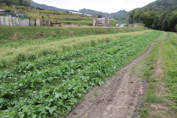 e0188897_12404861.jpg