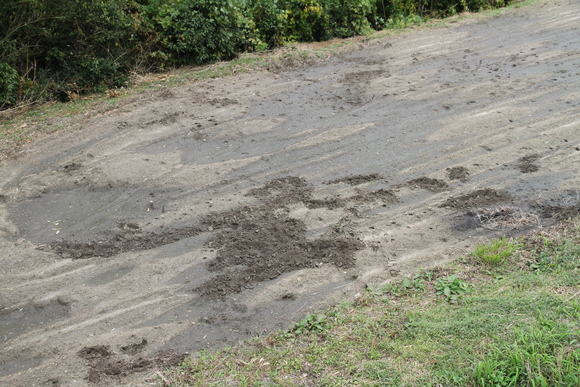 e0188897_12423234.jpg