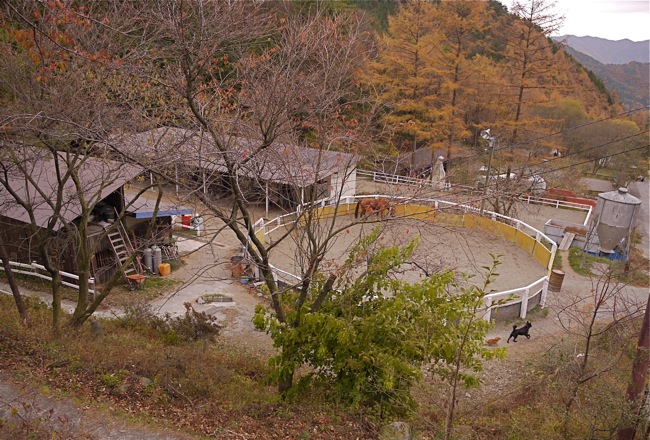 e0163202_2092896.jpg