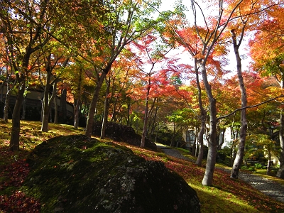 箱根美術館の紅葉_a0071805_1555165.jpg