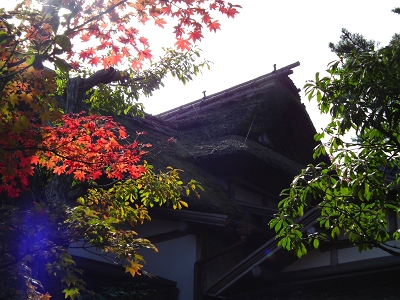 箱根美術館の紅葉_a0071805_15555981.jpg