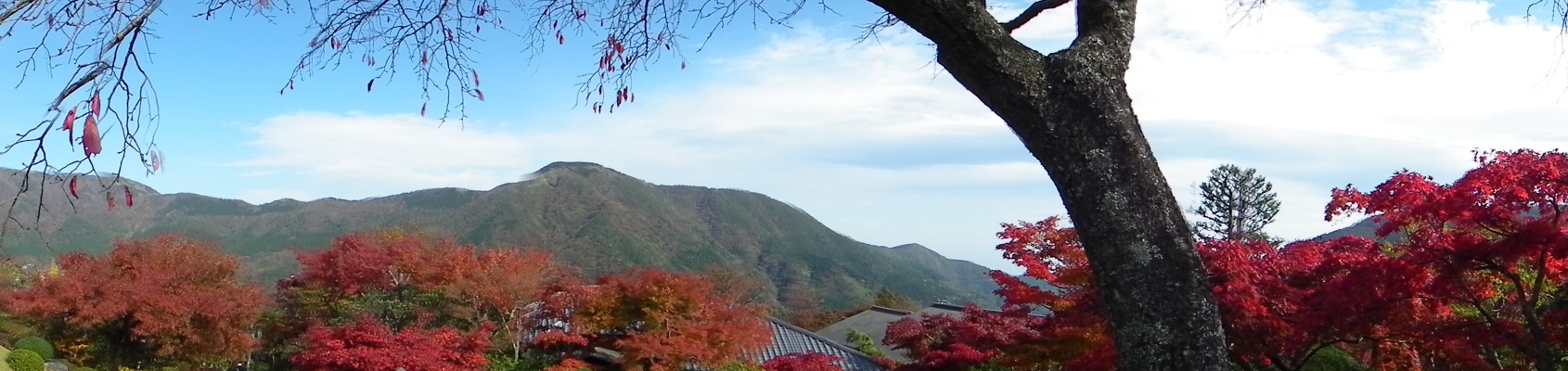 箱根美術館の紅葉_a0071805_1605659.jpg