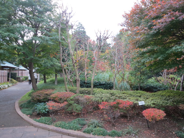 a0227507_2311397.jpg