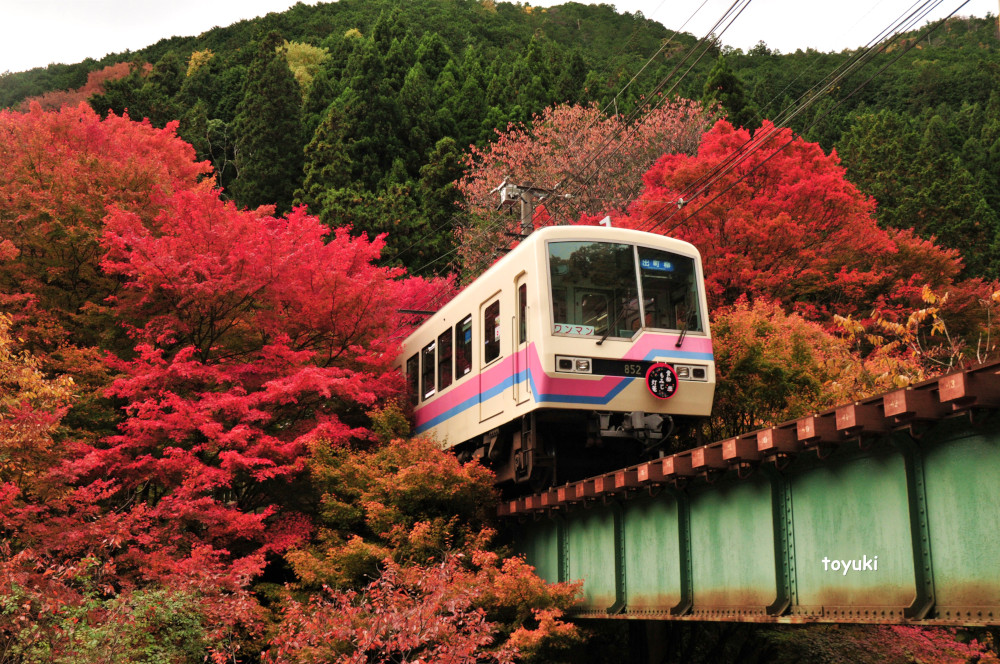 紅葉２０１２～叡山電車～_d0226407_19405726.jpg