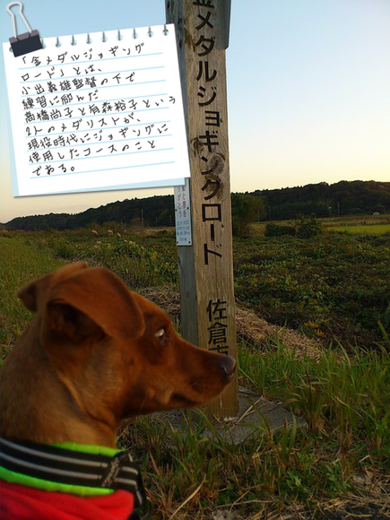 e0246708_2154227.png