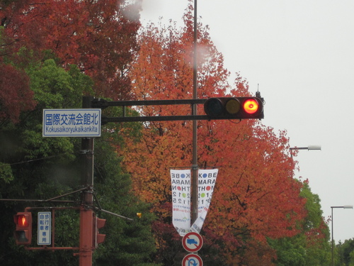 c0230109_1617033.jpg