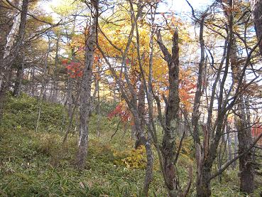 b0031710_1733762.jpg