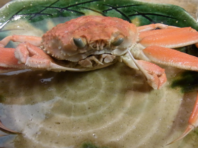 香箱カニ_f0157910_16134619.jpg