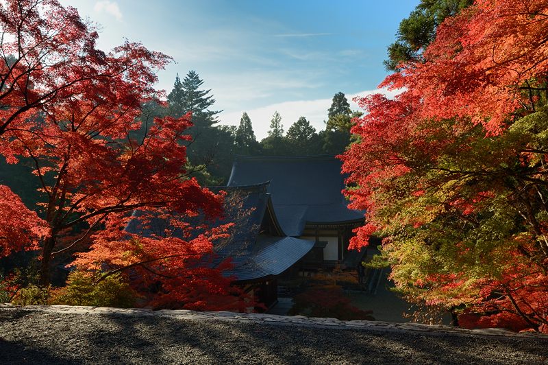 2012京都の紅葉・神護寺 其の二_f0032011_19473128.jpg