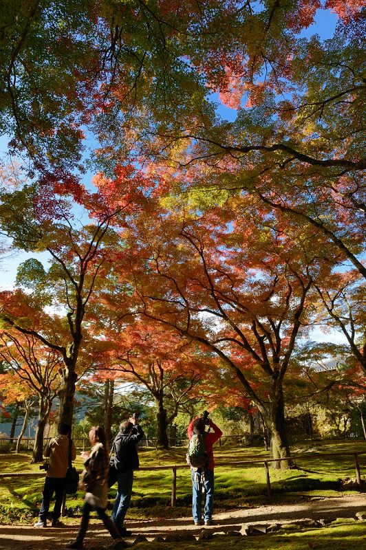 2012京都の紅葉・神護寺　其の二_f0032011_19493924.jpg