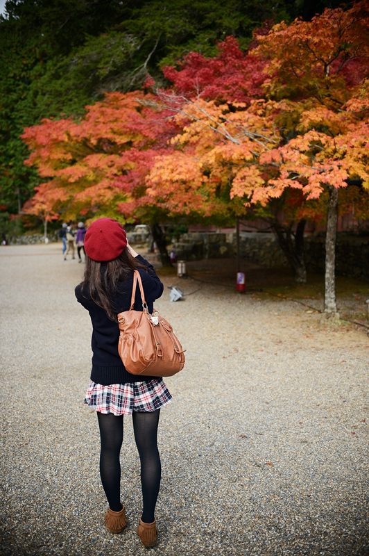 2012京都の紅葉・神護寺 其の二_f0032011_1951392.jpg