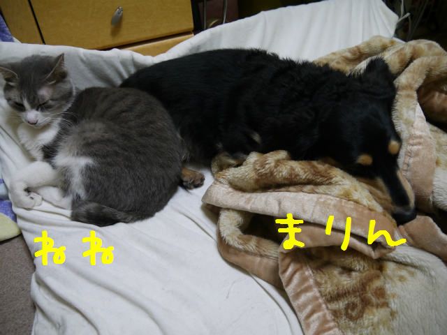 f0218911_19485879.jpg