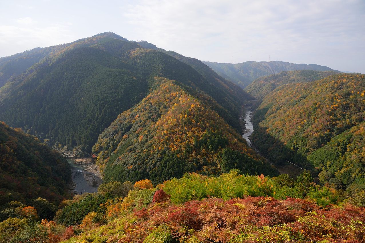 b0260713_0525619.jpg