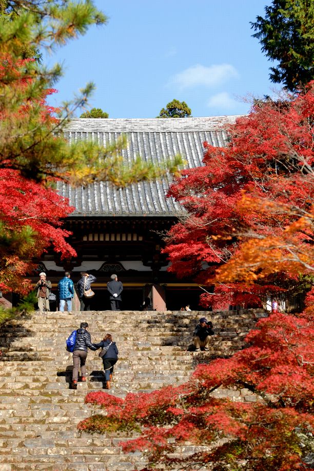 高雄　神護寺_b0260713_1111026.jpg