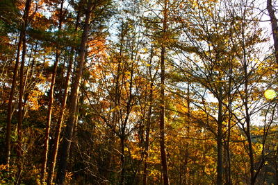 c0144513_16143693.jpg