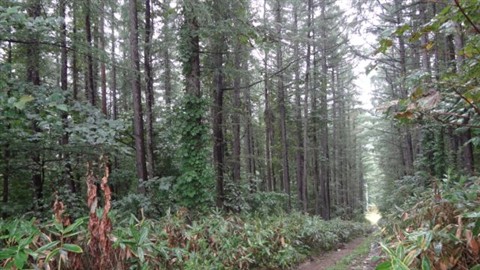 c0173813_12462720.jpg