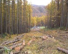 c0173813_1272883.jpg