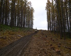 c0173813_13221550.jpg