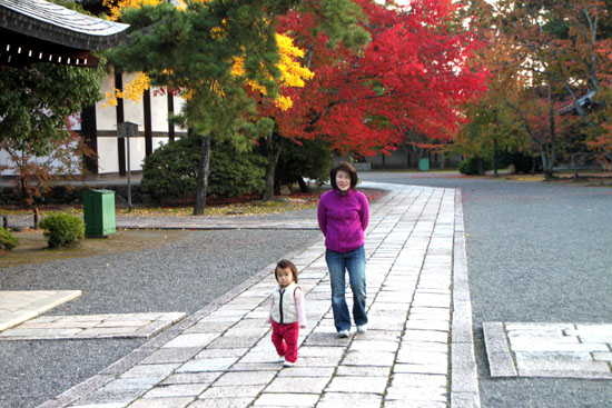 紅葉巡り11　太秦広隆寺_e0048413_21581055.jpg