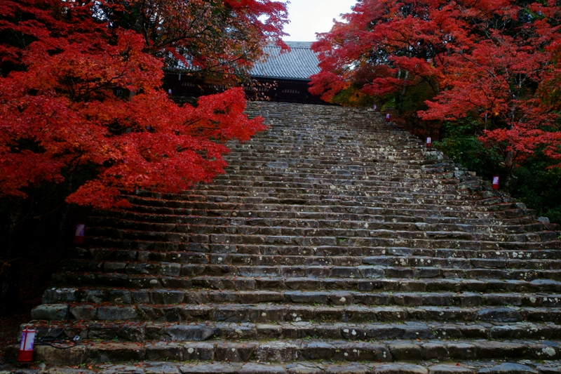 神護寺_e0177413_20511828.jpg