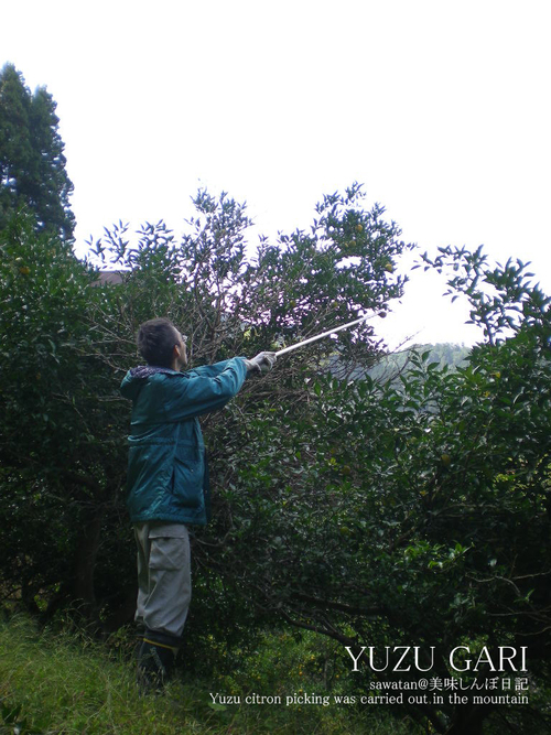 f0070713_11202937.jpg