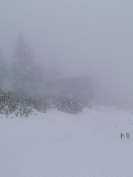 新雪の巻機山 前篇(避難小屋へ)_c0177814_0233969.jpg