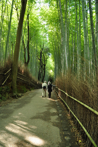 f0046614_114728.jpg
