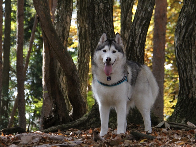 b0207615_2291570.jpg