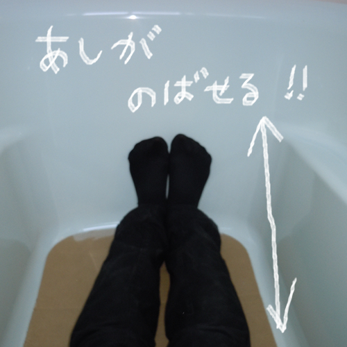 e0296217_2019559.png