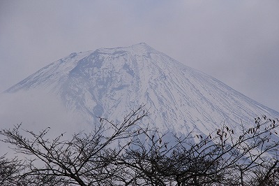 a0087818_19495951.jpg