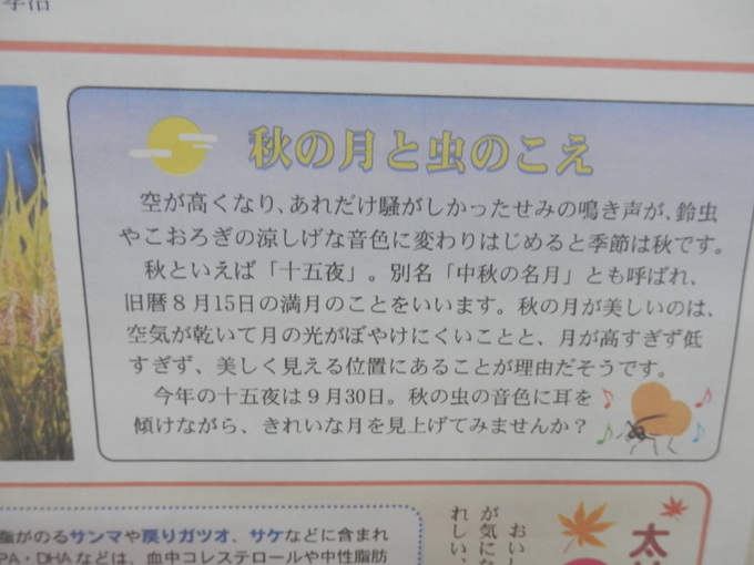 「定休日」の過ごし方★_a0125419_1711422.jpg