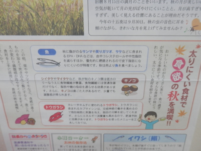 「定休日」の過ごし方★_a0125419_17115762.jpg