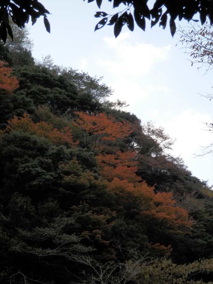 「定休日」の過ごし方★_a0125419_17131682.jpg