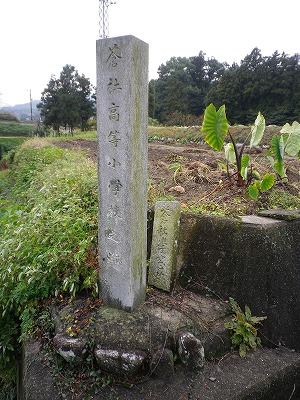 b0138522_129611.jpg