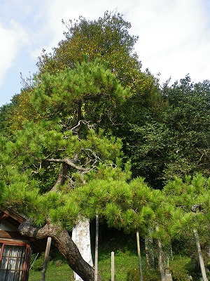 b0138522_13523514.jpg