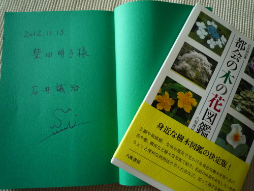 「この木なんの木」講座。浜離宮恩賜庭園にて_b0211926_21202557.jpg