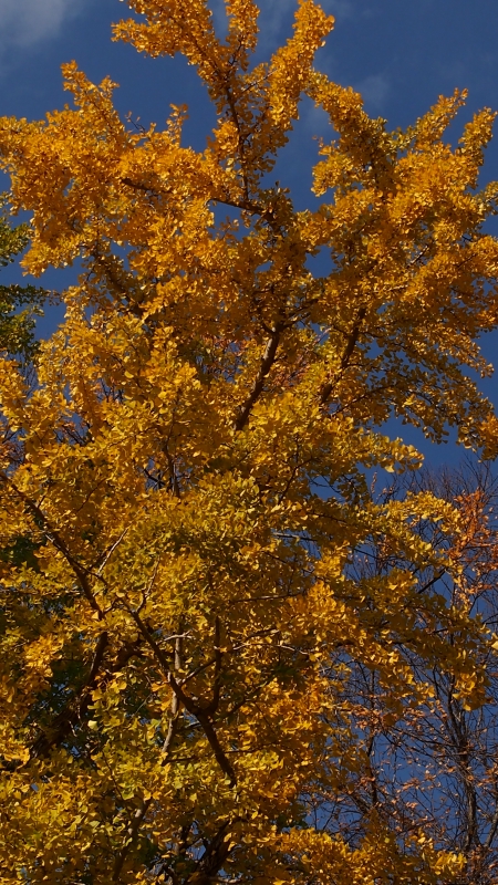 d0266327_15495228.jpg